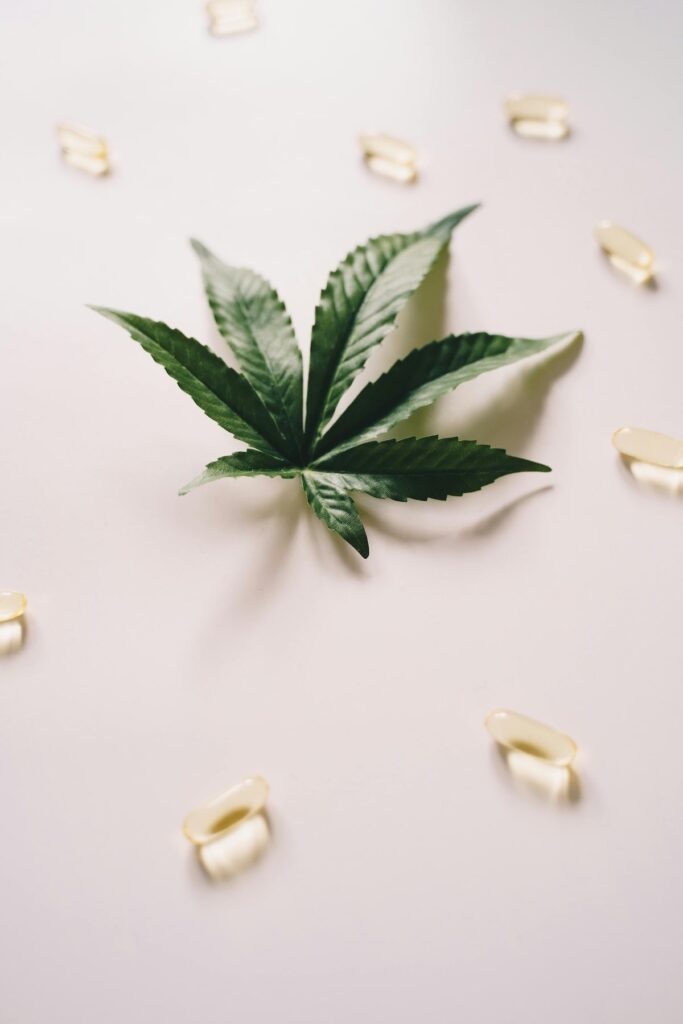 CBD OEL